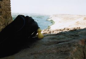 Sheila_Aegypten_1995.jpg